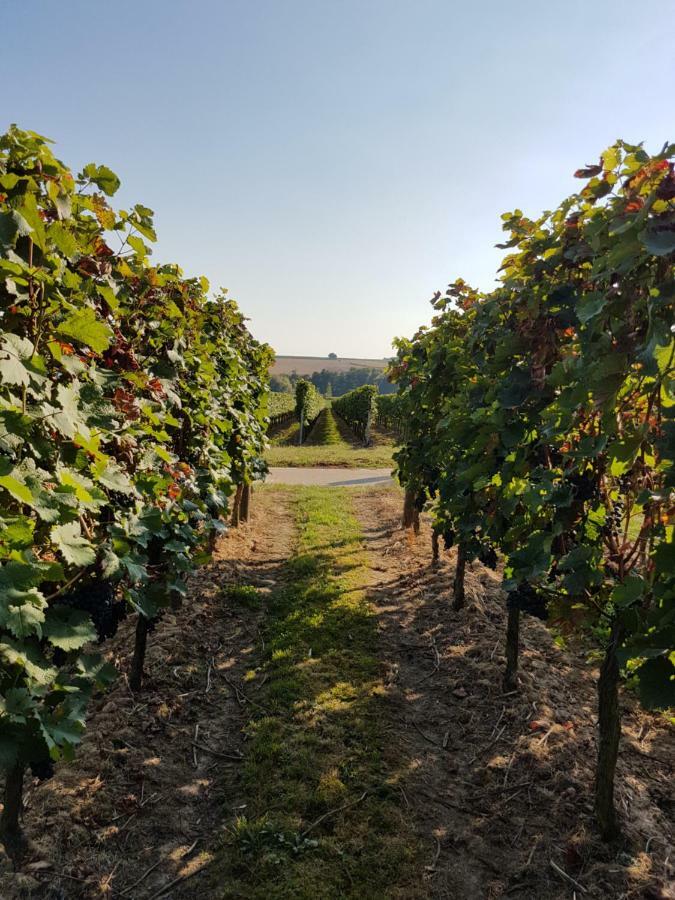 Weingut & Gaestehaus Nagel Kapellen-Drusweiler Dış mekan fotoğraf