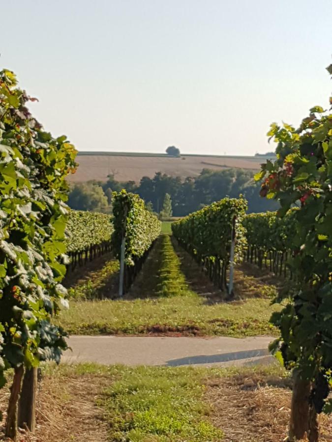Weingut & Gaestehaus Nagel Kapellen-Drusweiler Dış mekan fotoğraf